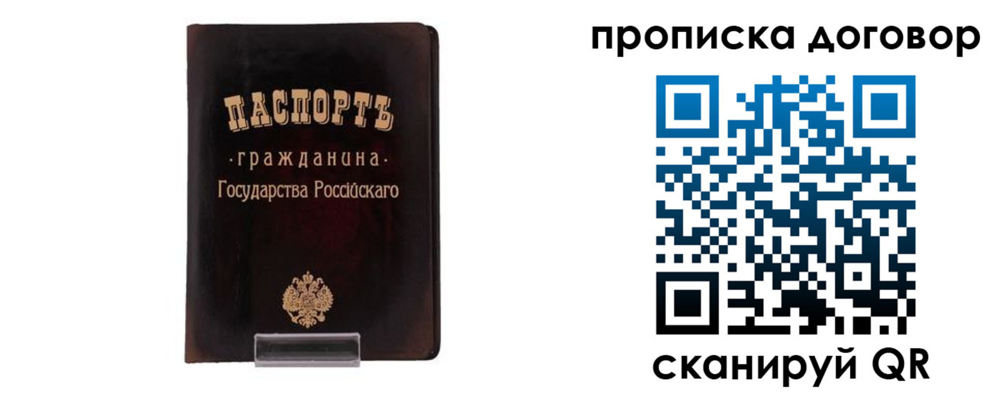 временная регистрация адрес в Мончегорске